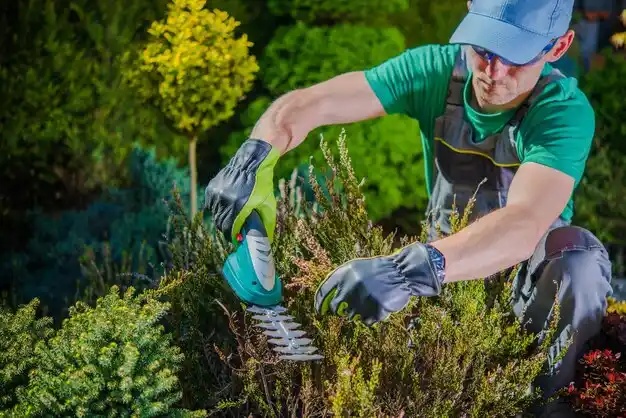 landscaping services St. Martinville